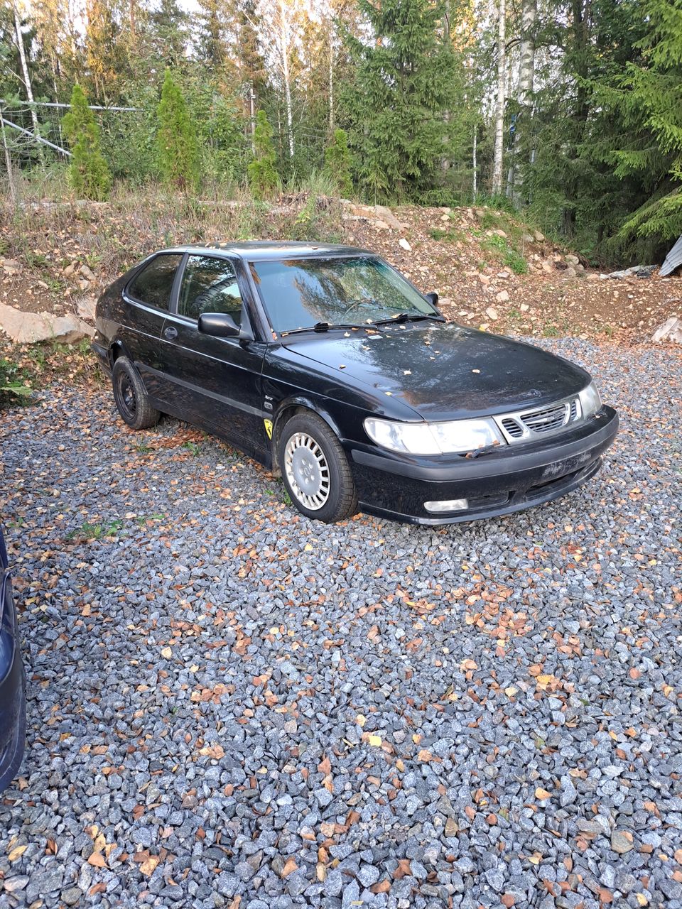 Saab Aero 9-3 OG osina