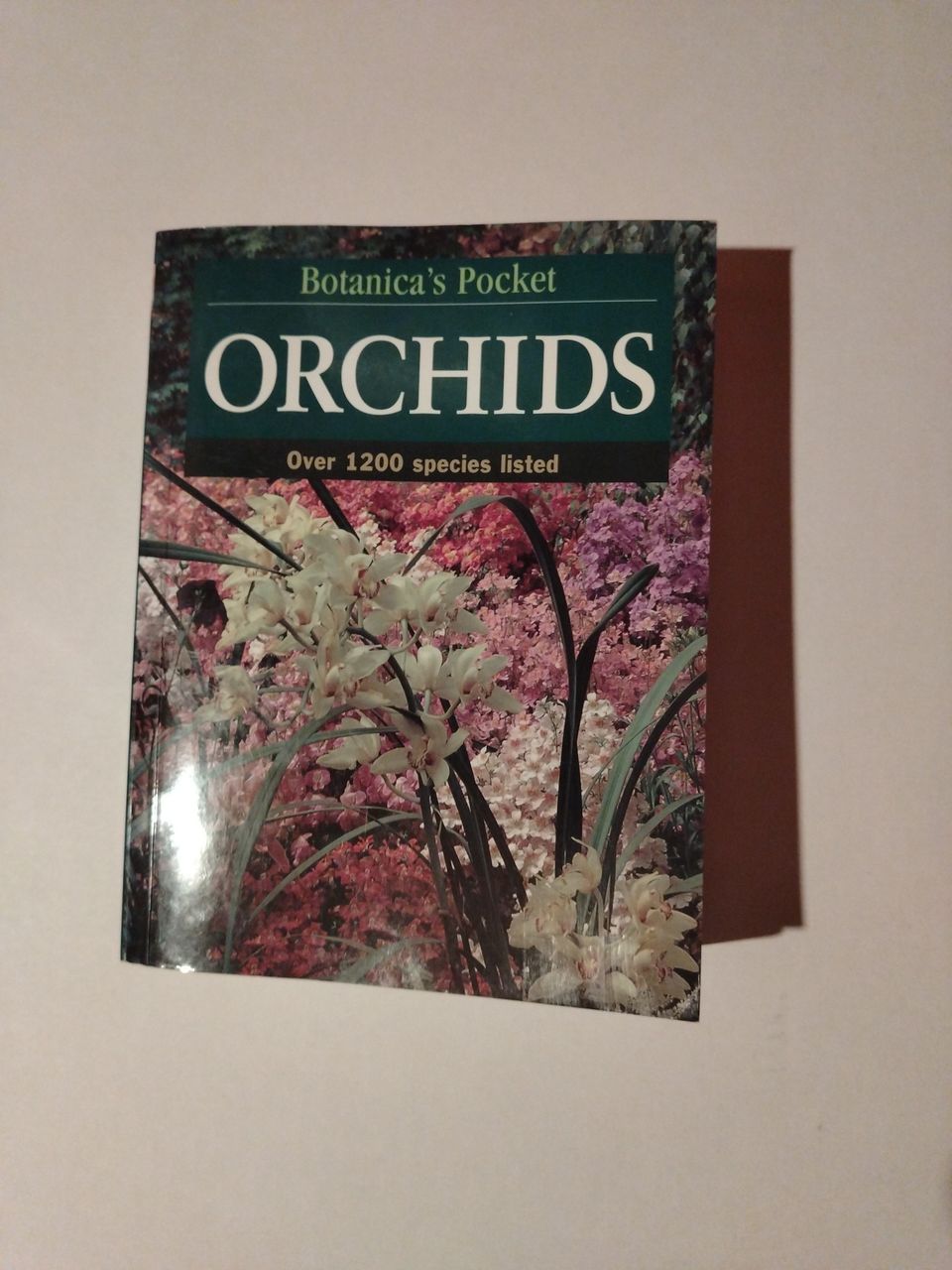 Botanica's pocket orchids