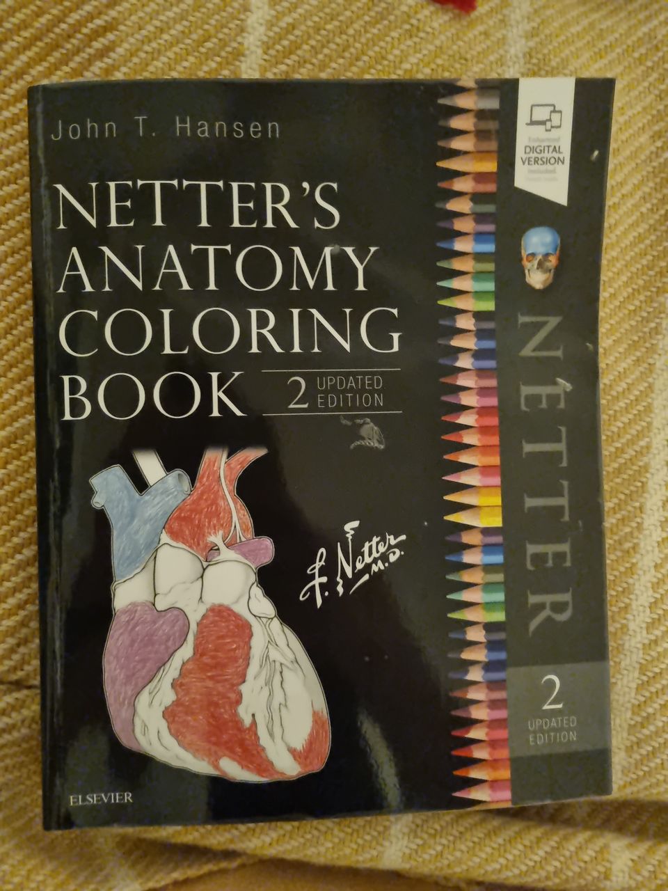 Netter's anatomy coloring book 2