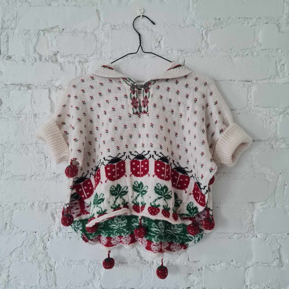 Adorable woolen sweater | ladybugs & strawberries