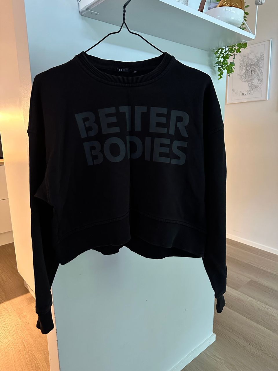 Better bodies college