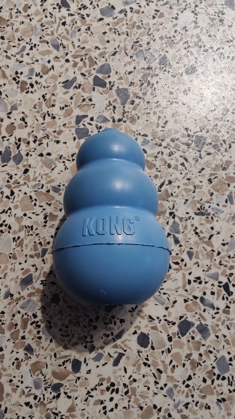 Puppy kong