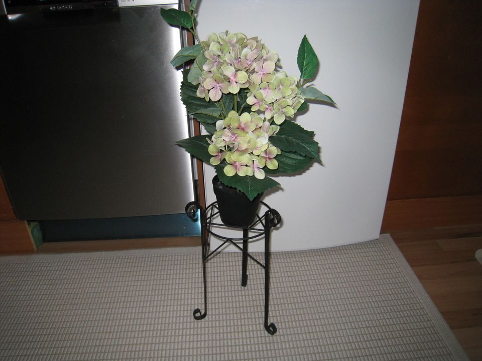 Tekokasvi Hortensia + kukkateline