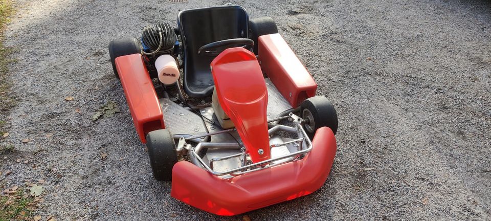 Dino karting auto + iame 100cc "2015"