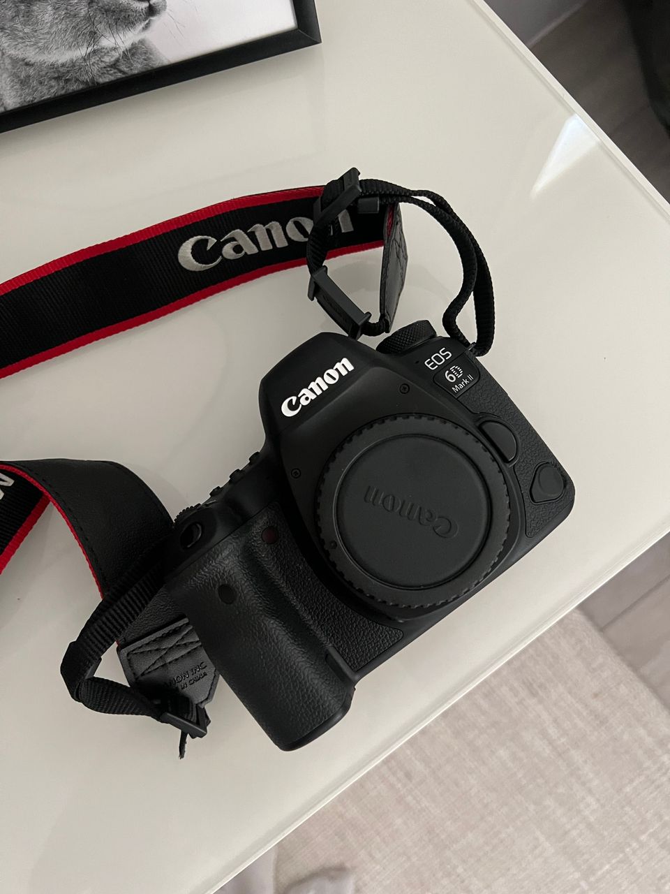 Canon eos 6D Mark II