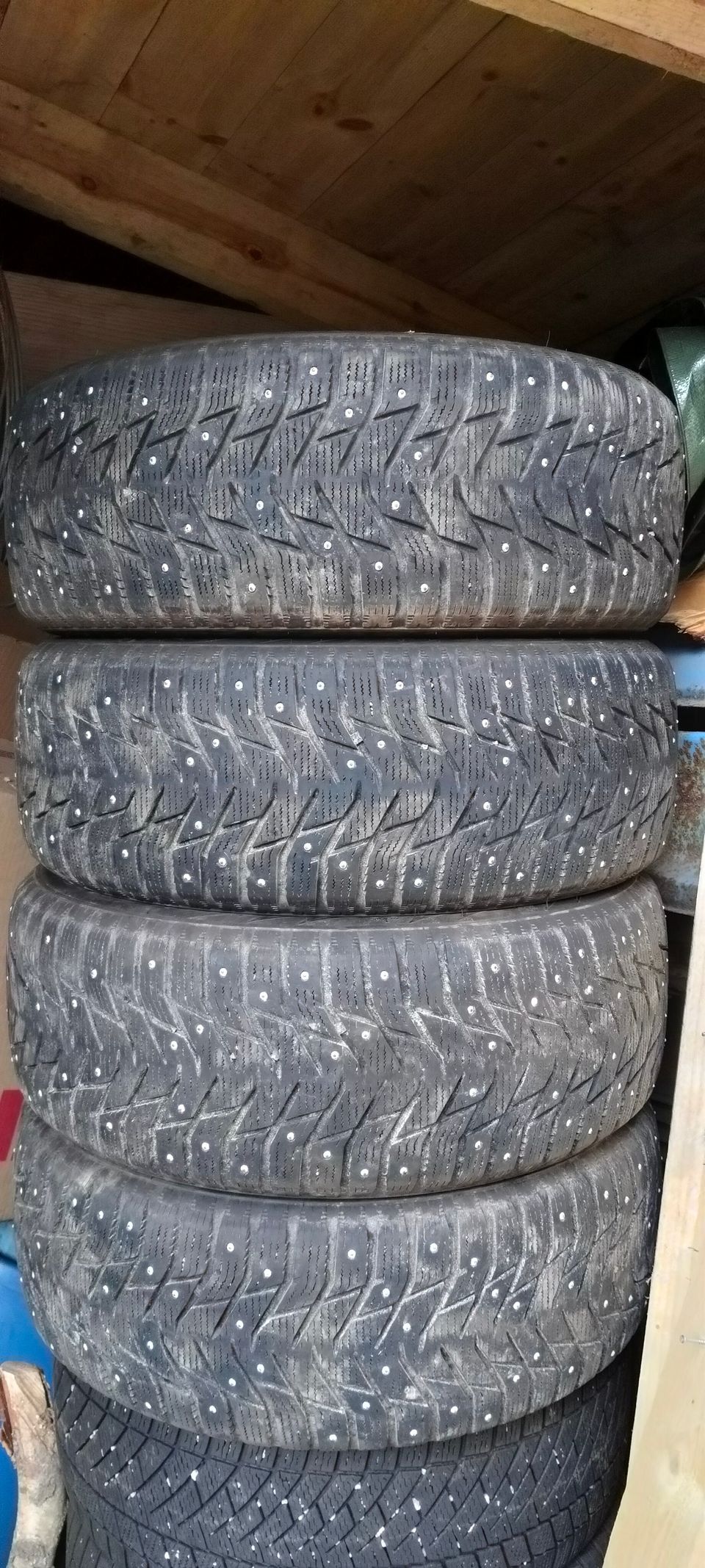 225/55R17 Sailun nastarenkaat