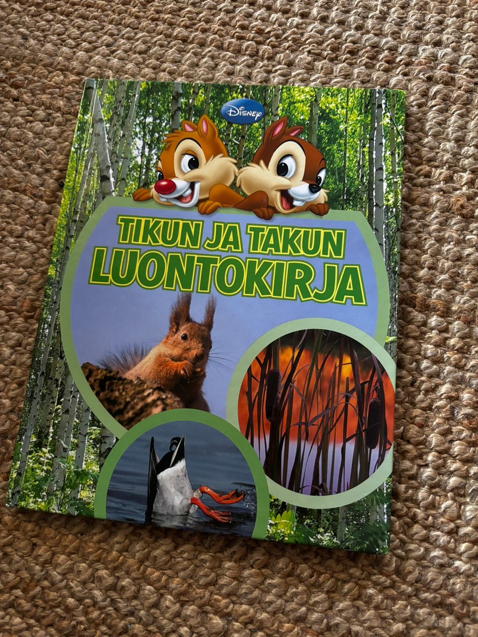 Ilmoituksen kuva