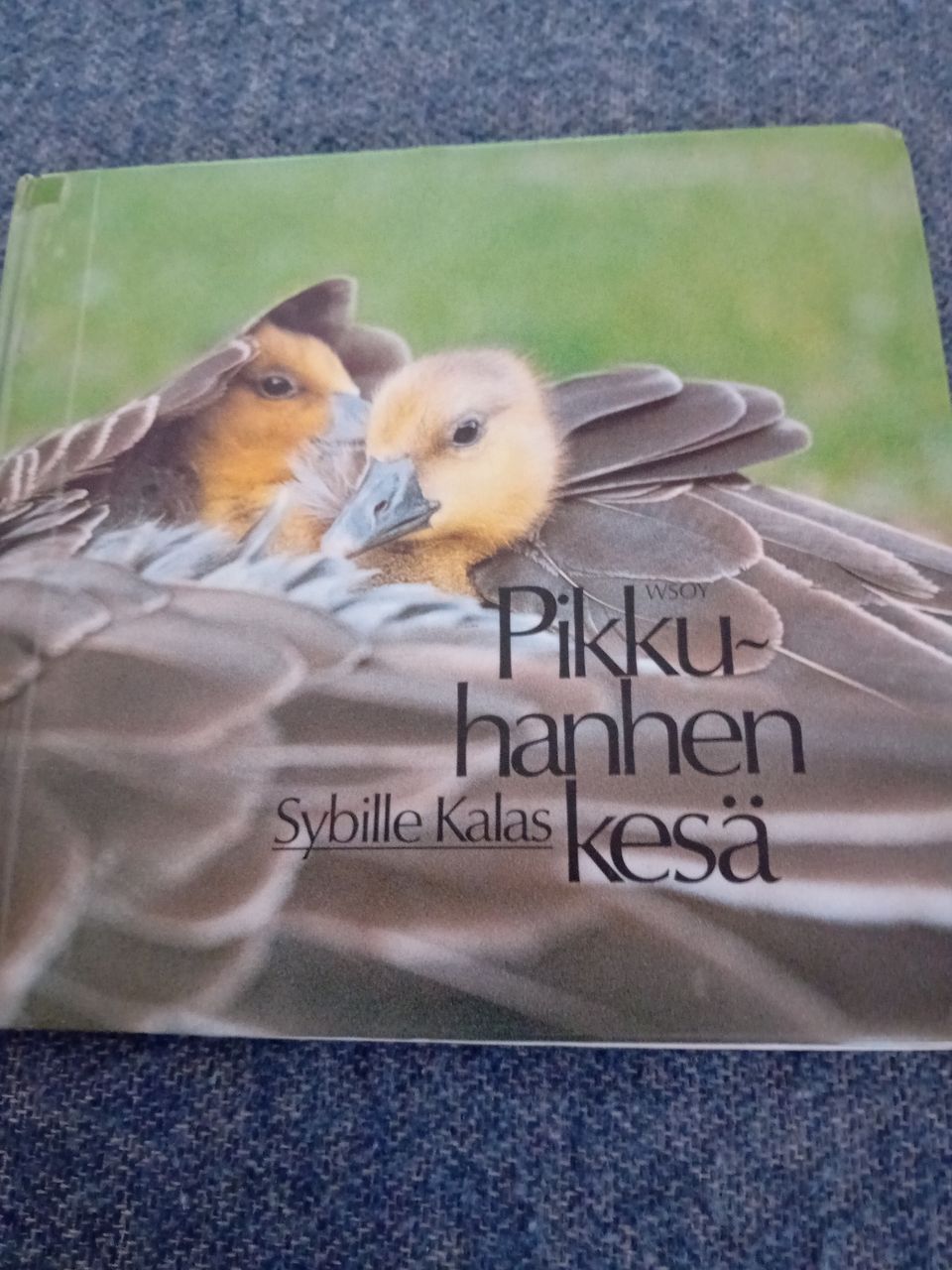 Pikkuhanhen kesä kirja