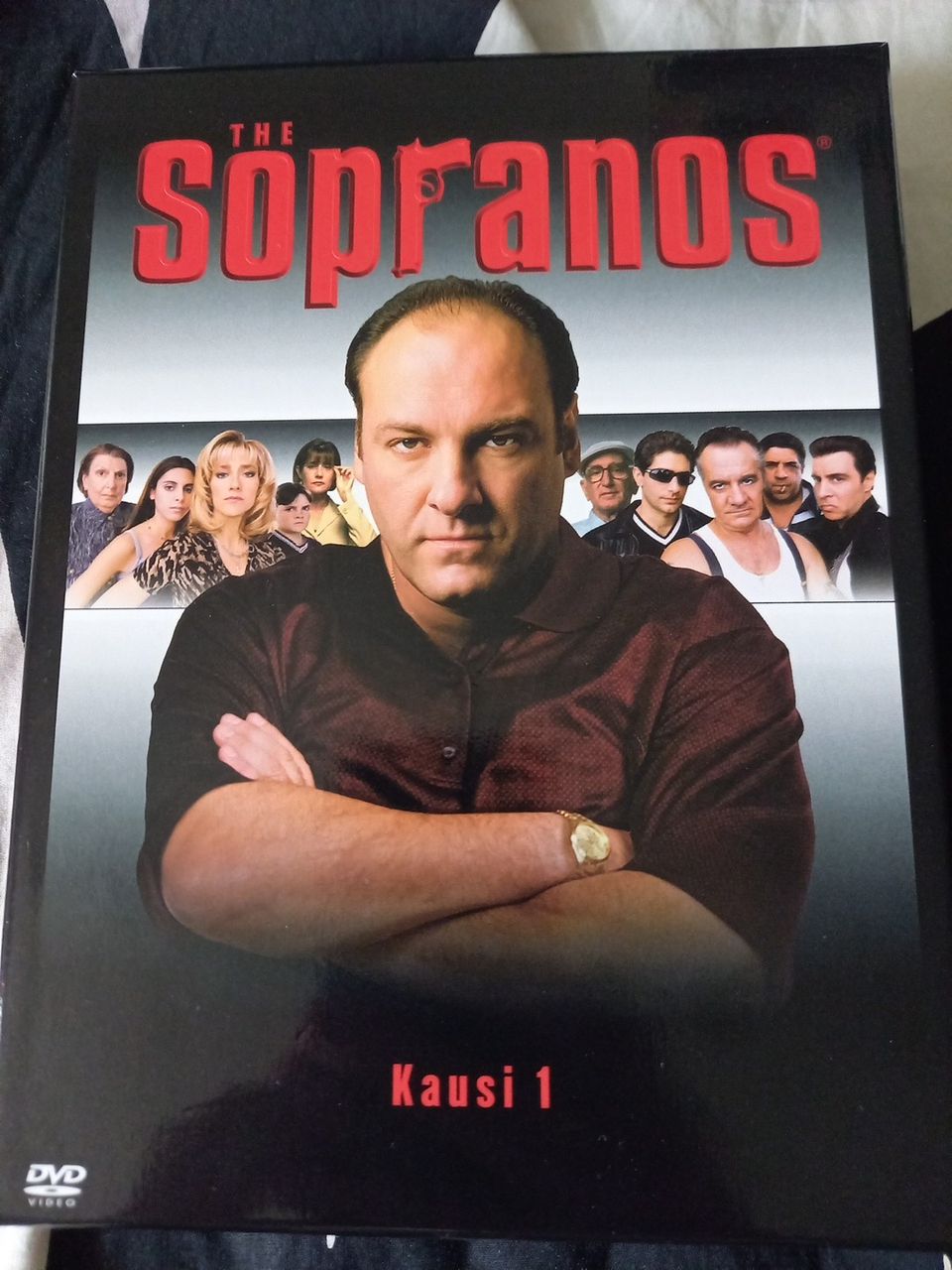 The Sopranos, 1. kausi (4 levyn keräilykokoelma)