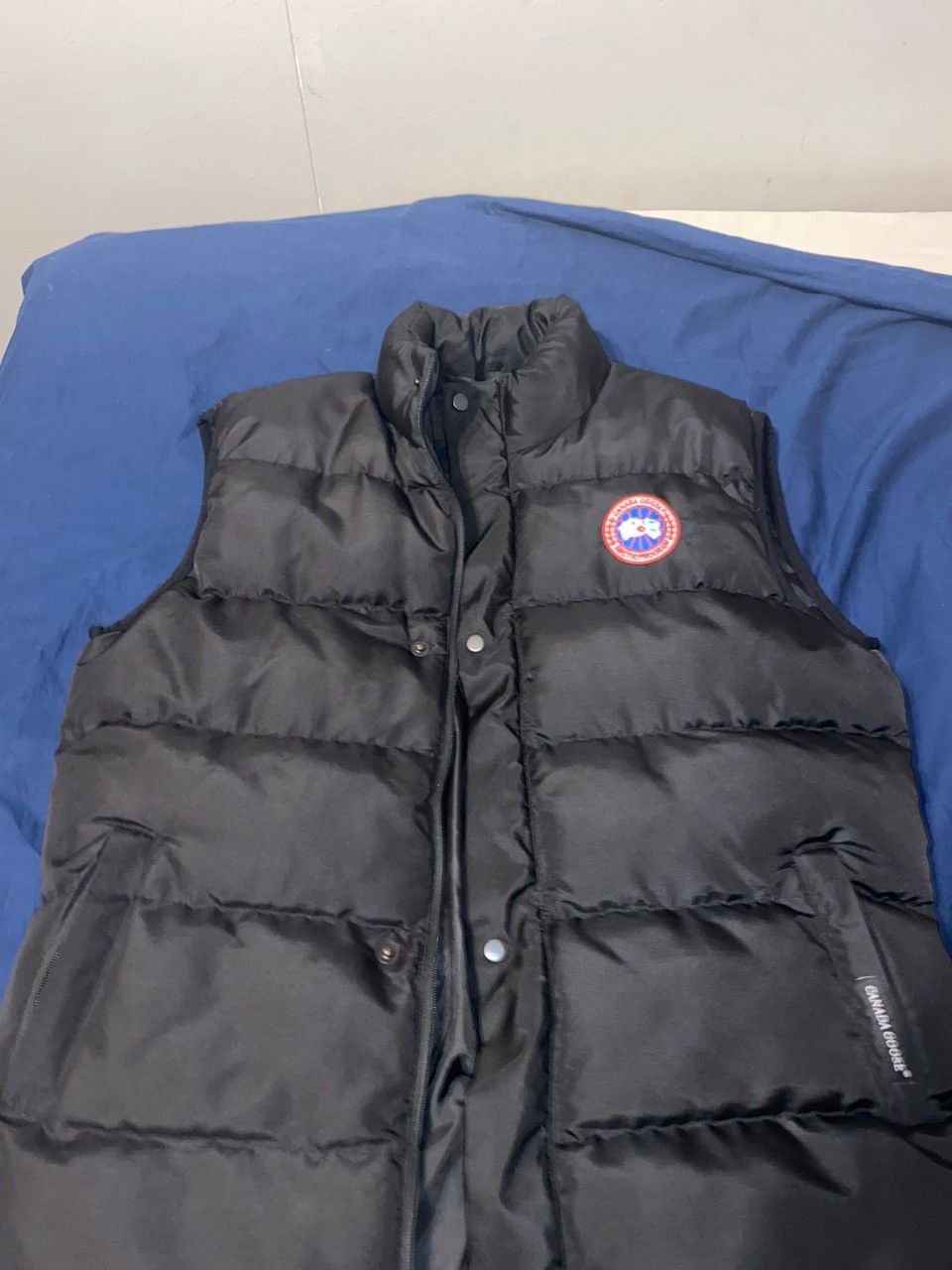 Canada goose liivi