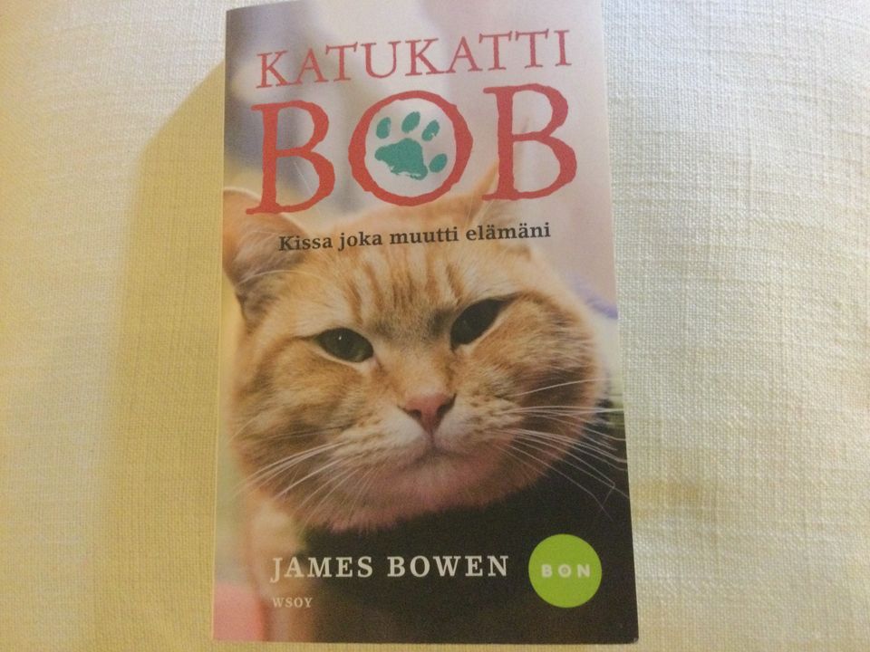 Katukatti  Bob