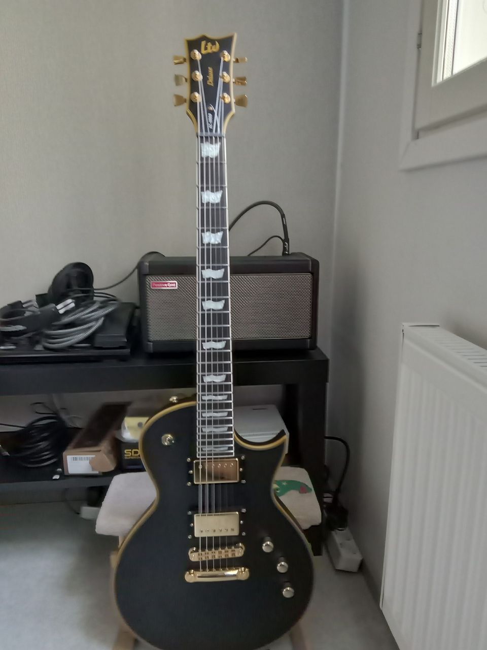 ESP/LTD EC 1000 DELUXE