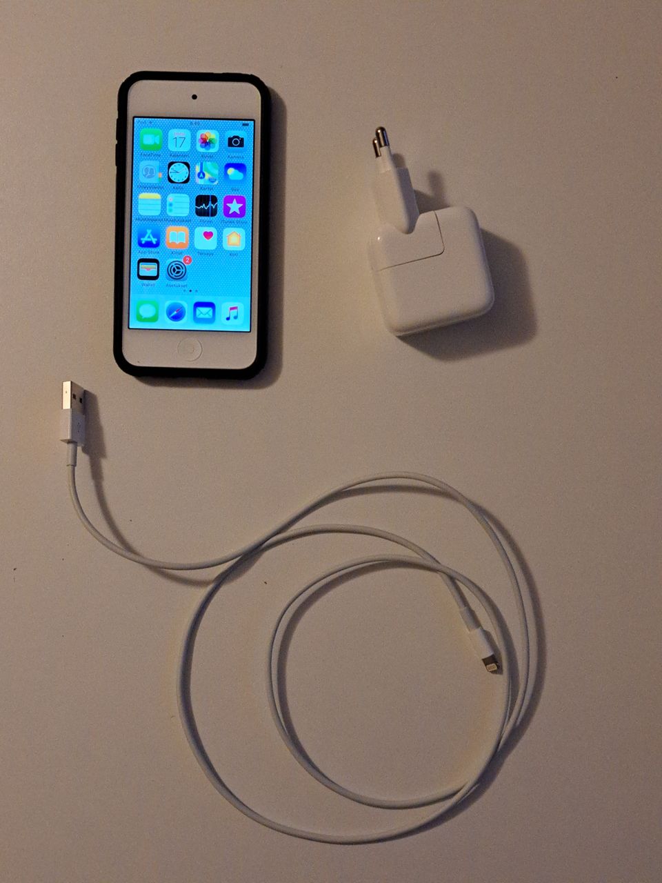 iPod Touch 32 GB (6th gen.), hopea