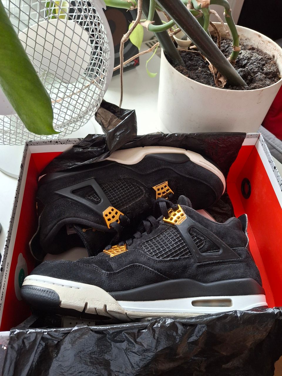 Jordan 4 royalty