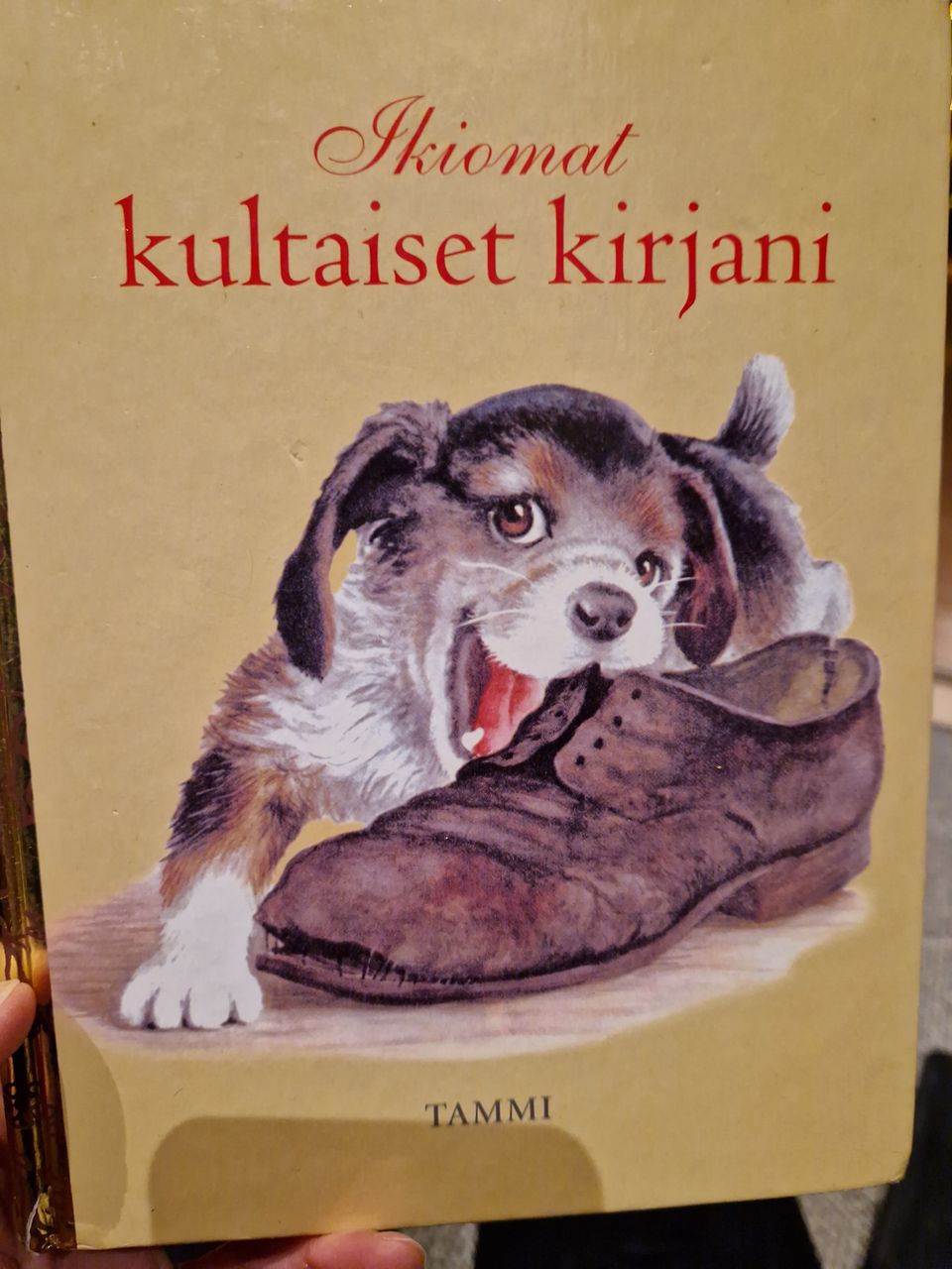 Ilmoituksen kuva