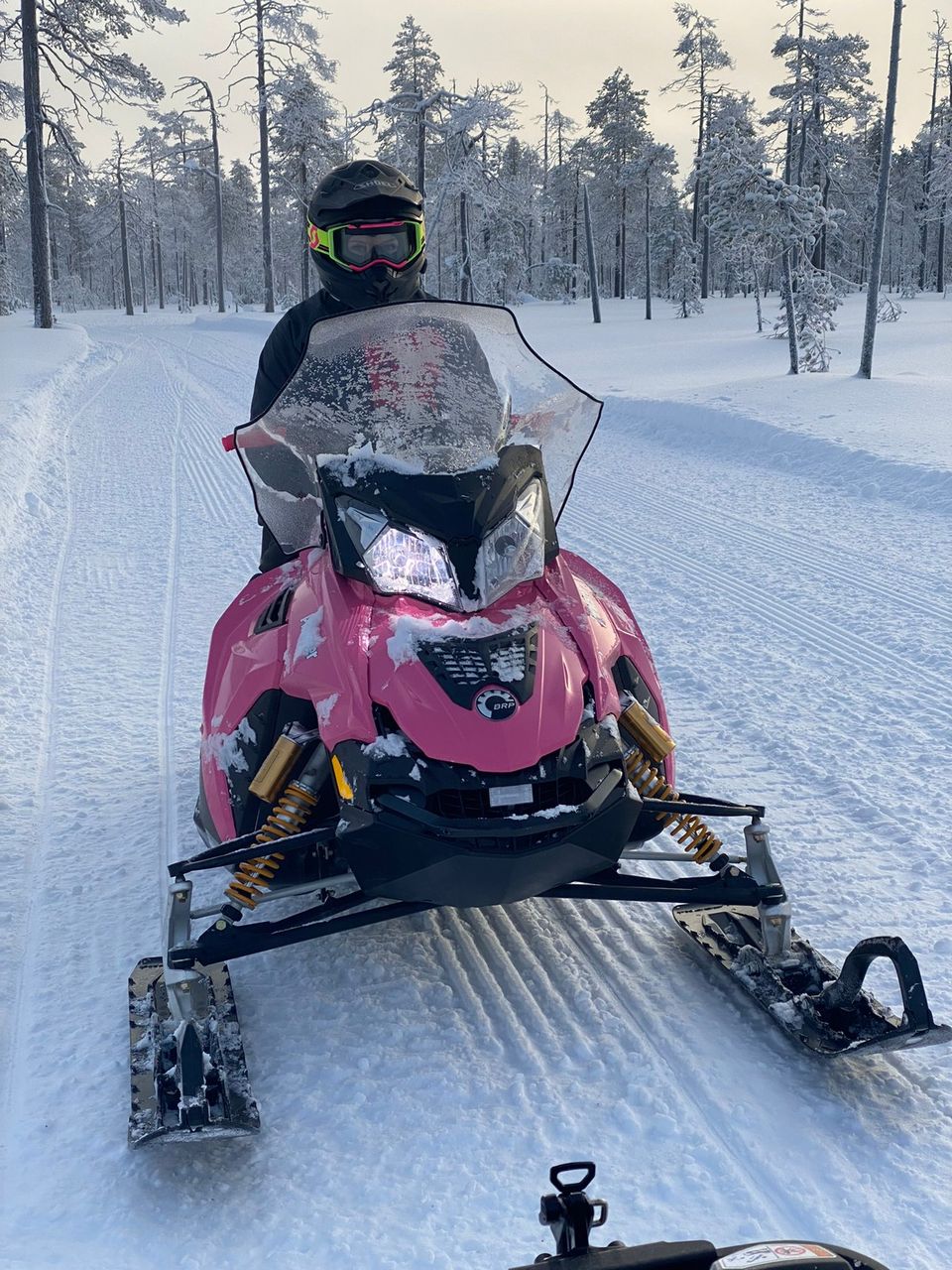 Ilmoituksen kuva