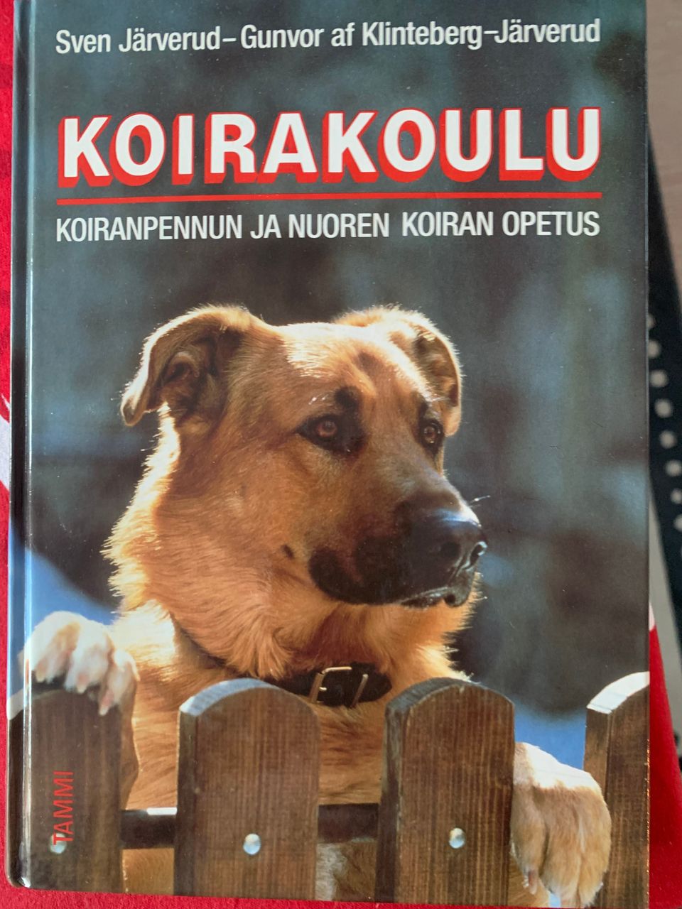 Ilmoituksen kuva