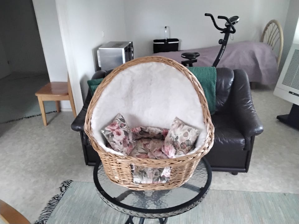 Ostetaan pesukarhu Tori