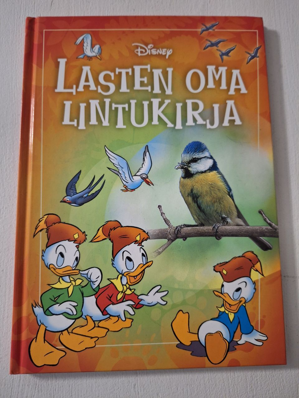 Ilmoituksen kuva