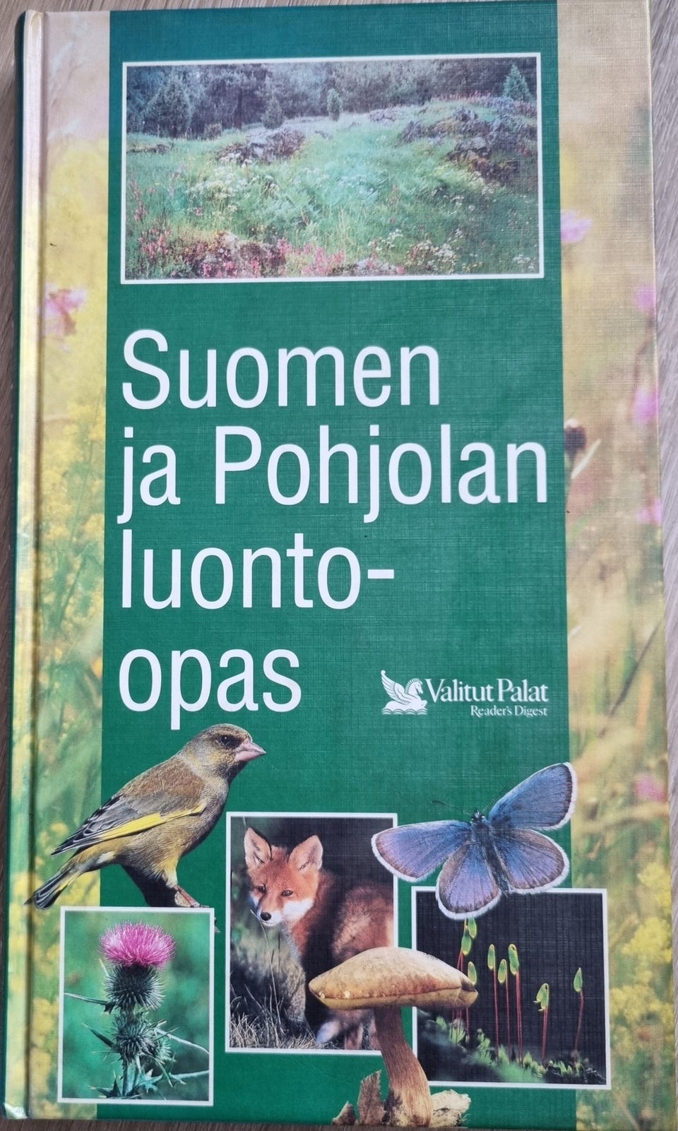 Kuvagalleria