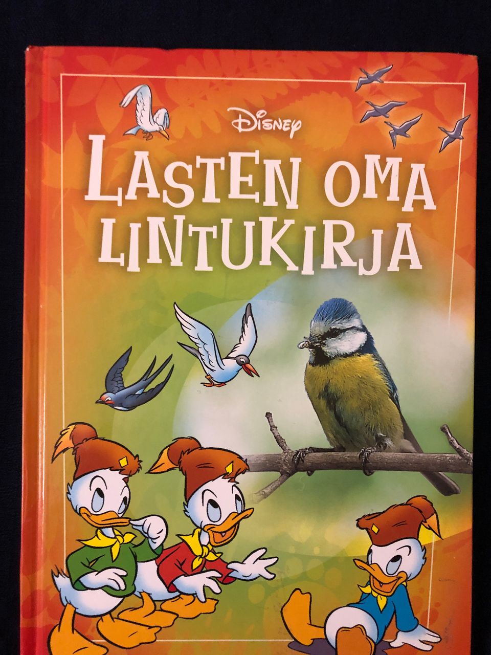 Ilmoituksen kuva