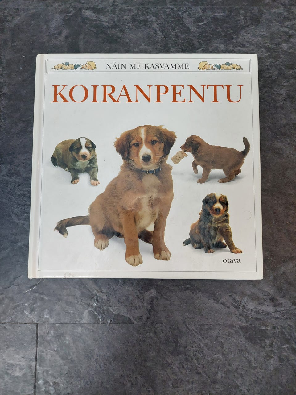Kuvagalleria