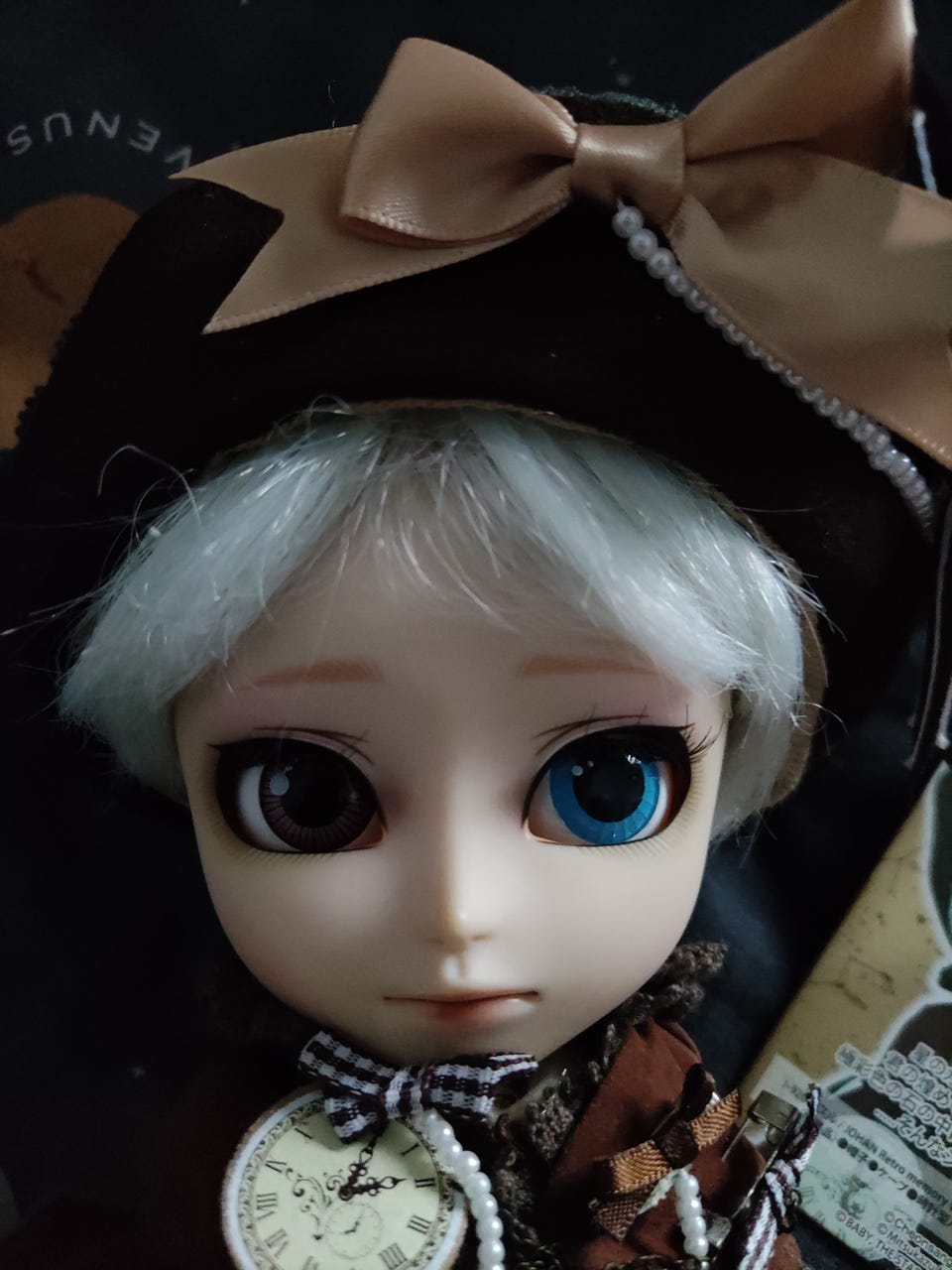 Isul johan retro memory (pullip) | Tori