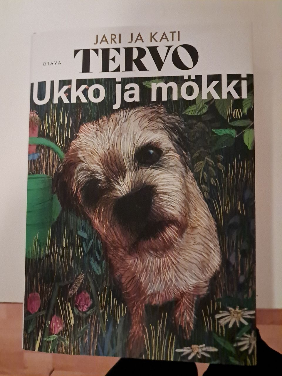 Ilmoituksen kuva