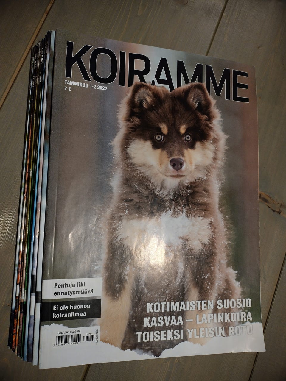 Kuvagalleria