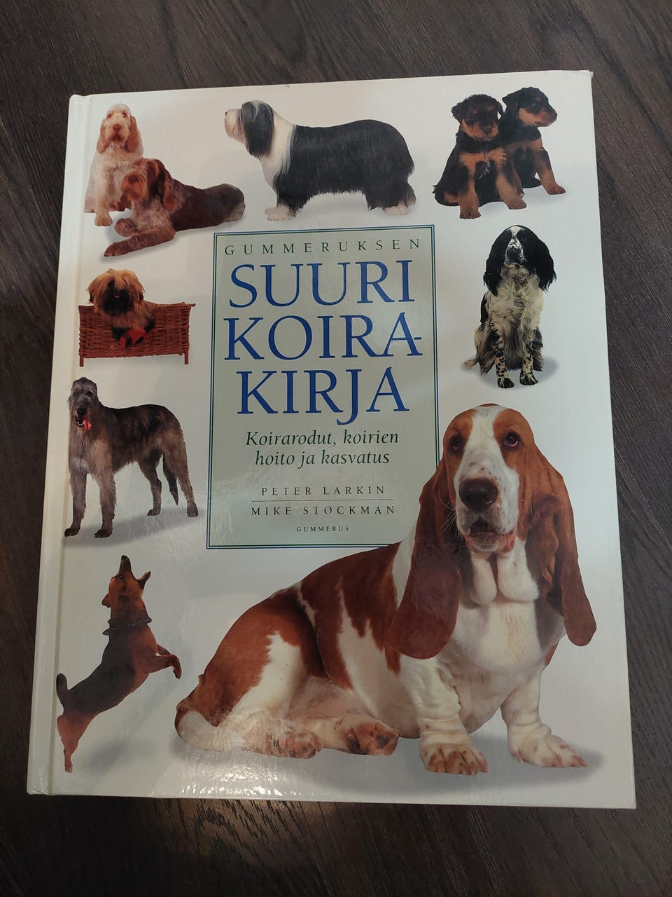 Kuvagalleria