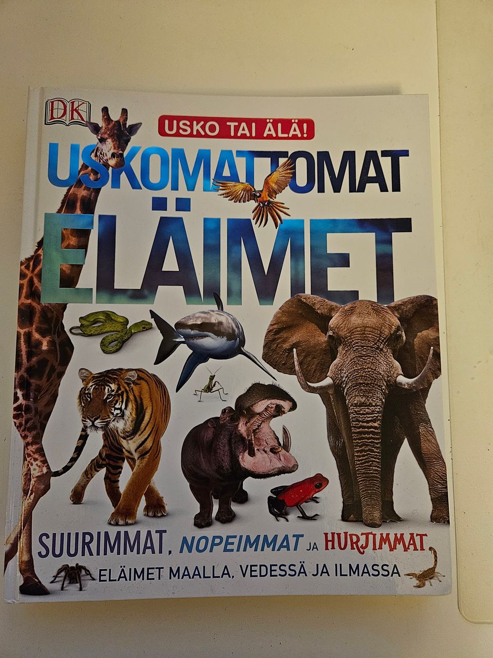 Ilmoituksen kuva