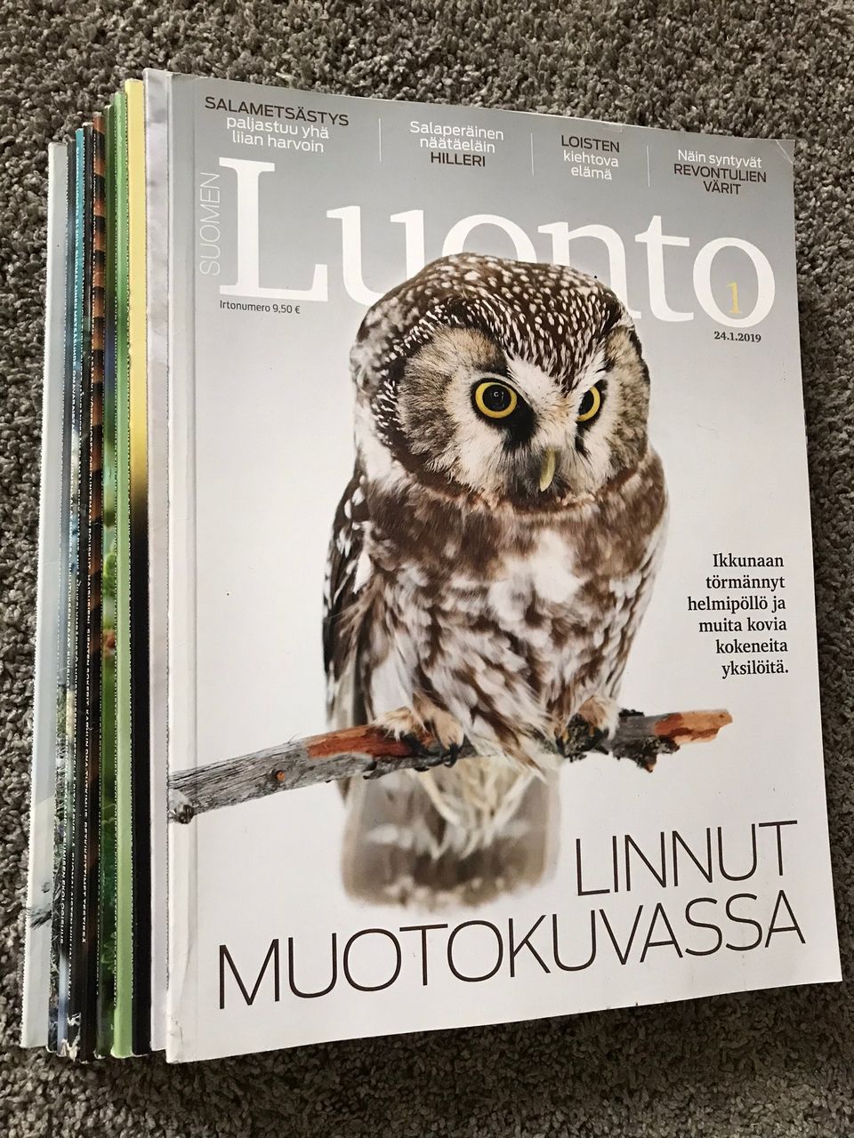 Ilmoituksen kuva