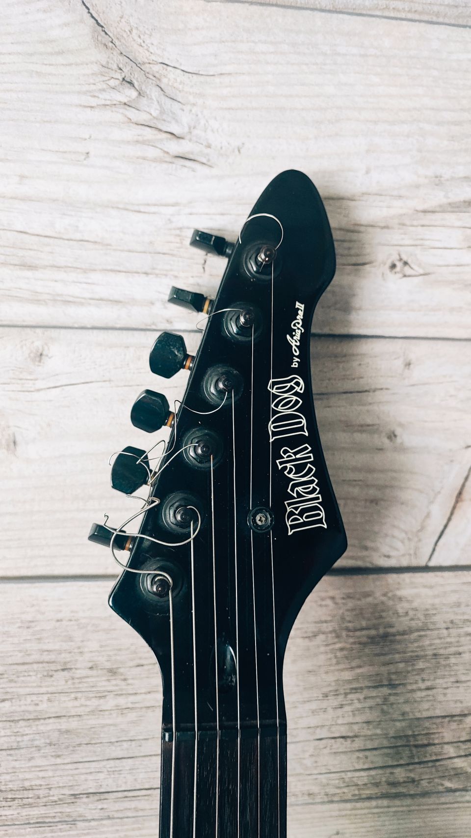 Black Dog by Aria Pro 2 strato Made in Japan | Tori