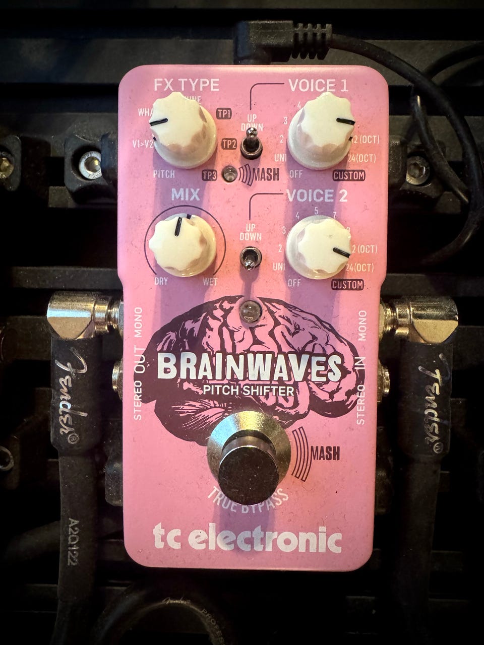TC Electronics Brainwaves Pitch Shifter kitarapedaali | Tori