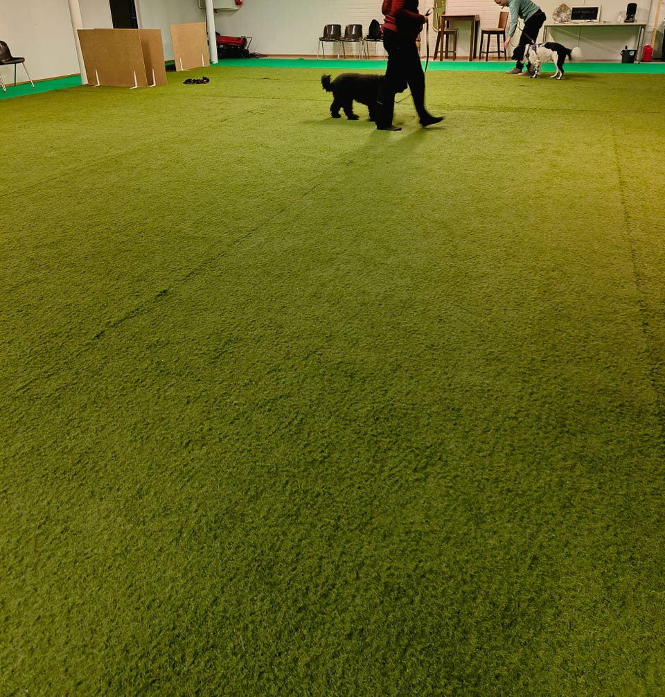 Tekonurmimatto/ Keinonurmi Tori