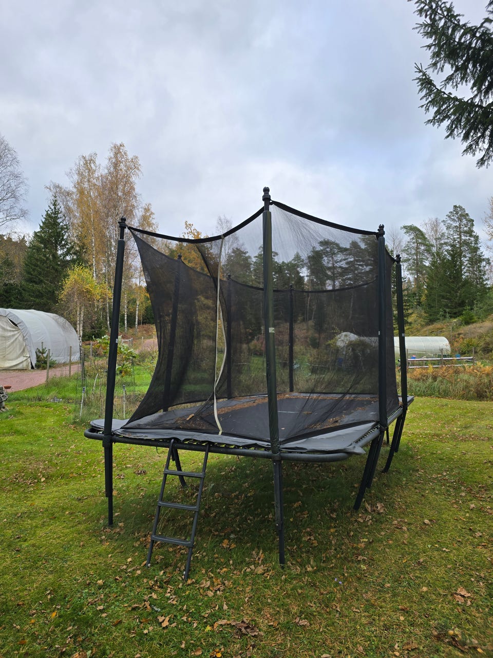 Acon Air sport 16 Trampoliini HD jousilla Tori