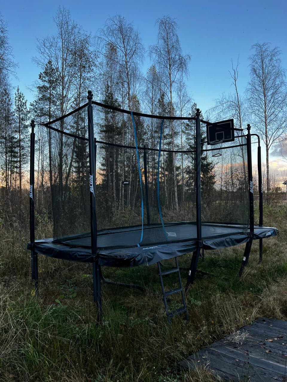 Acon Air 16 Sport HD trampoliini koripalloteline Tori