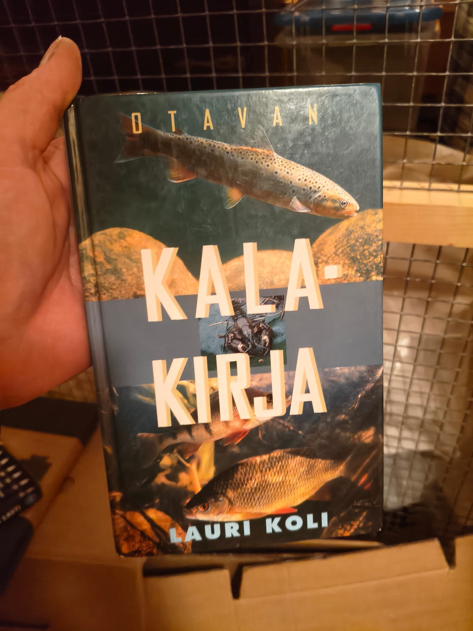 Kuvagalleria