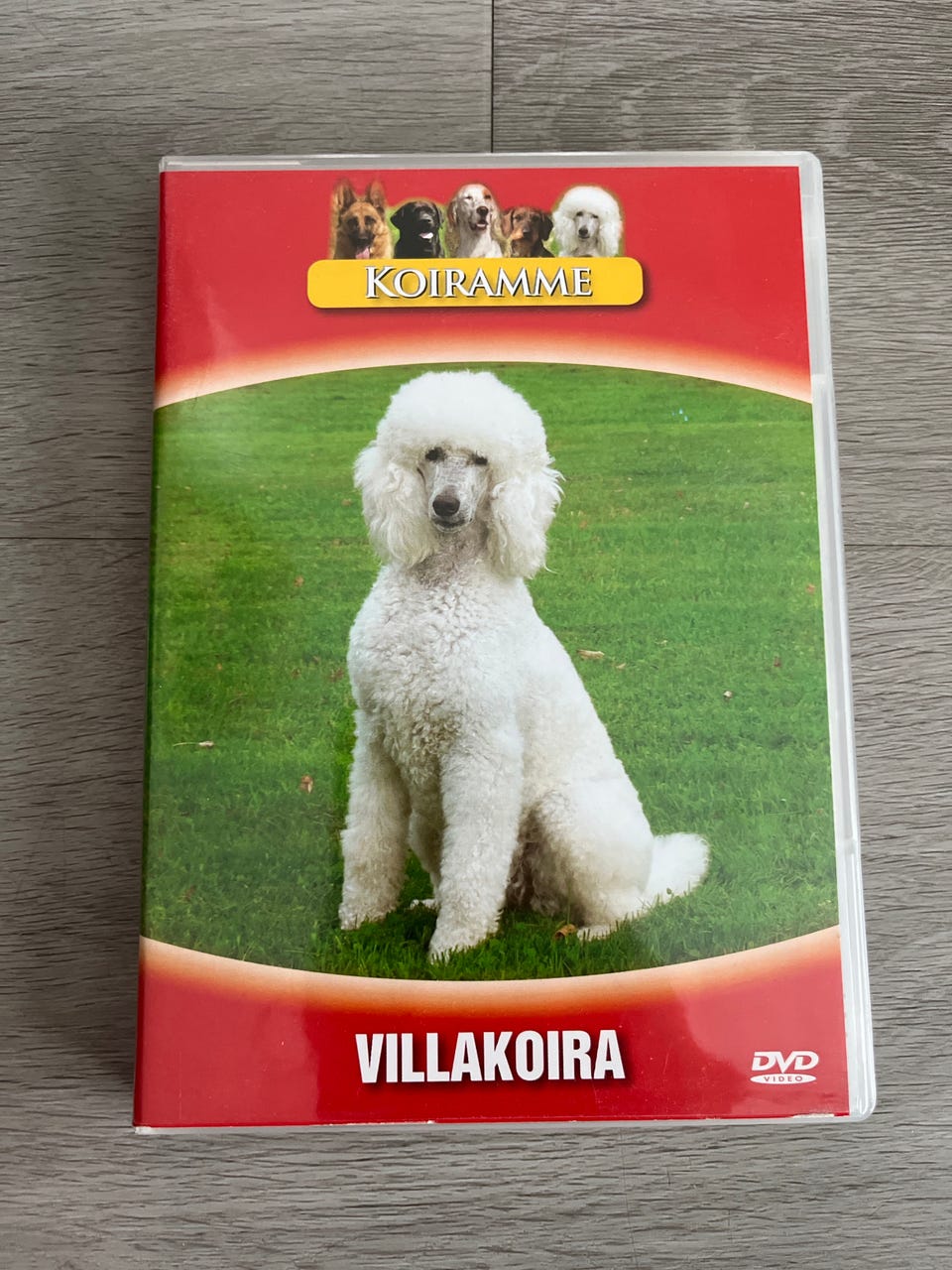 Kuvagalleria