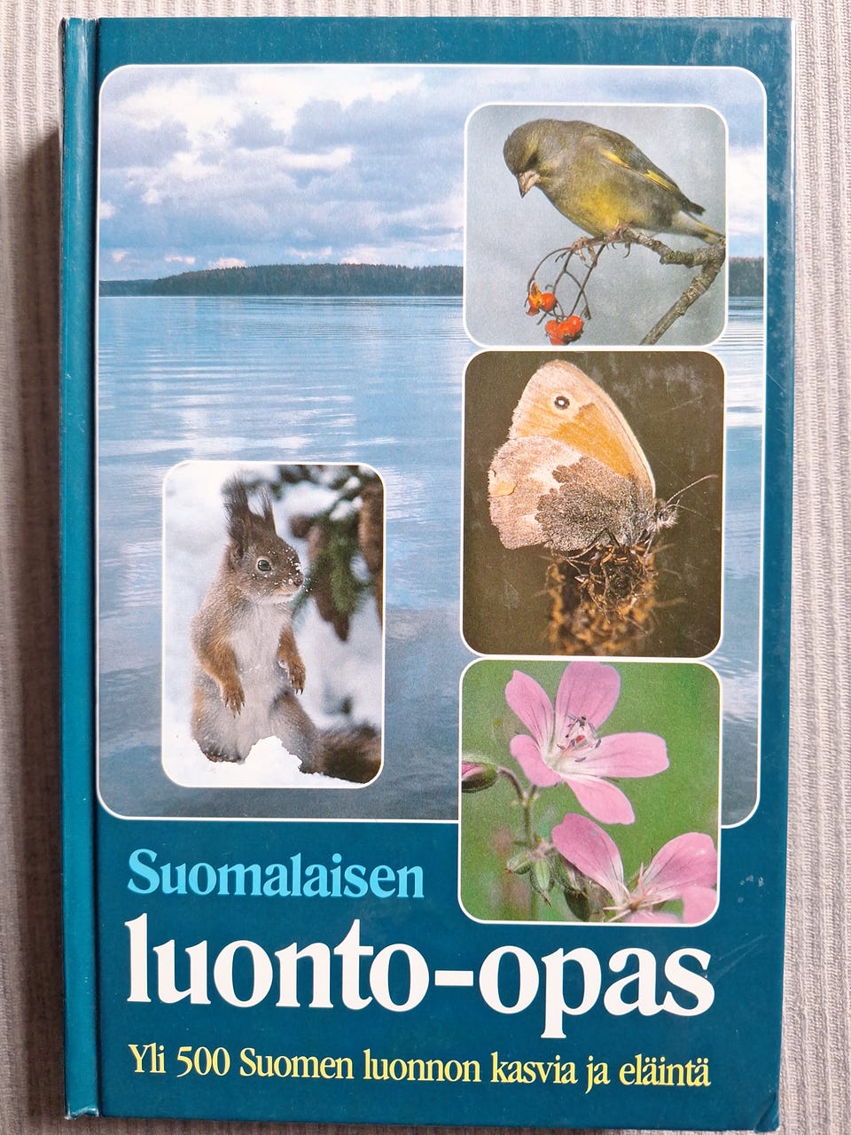 Kuvagalleria
