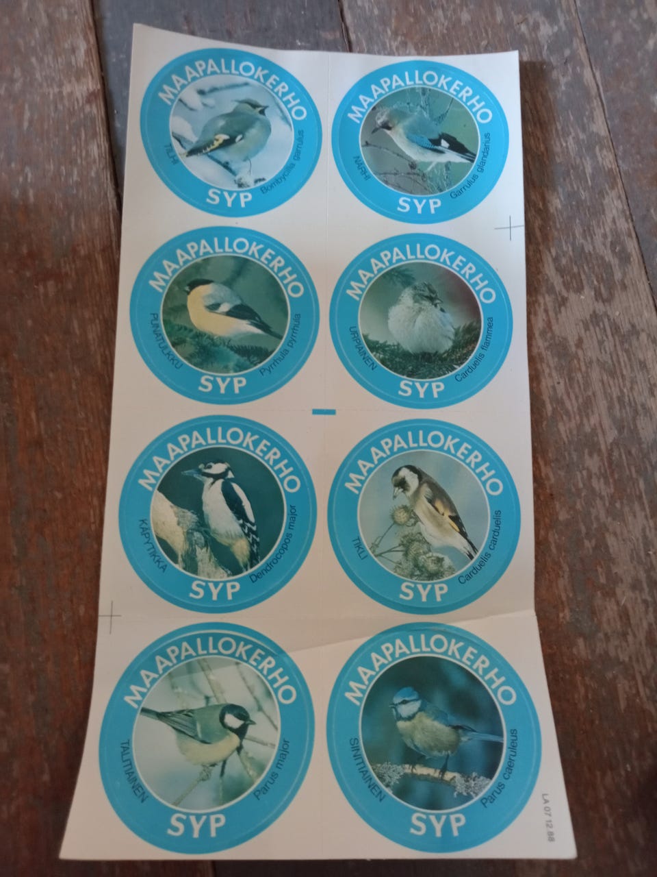 Kuvagalleria