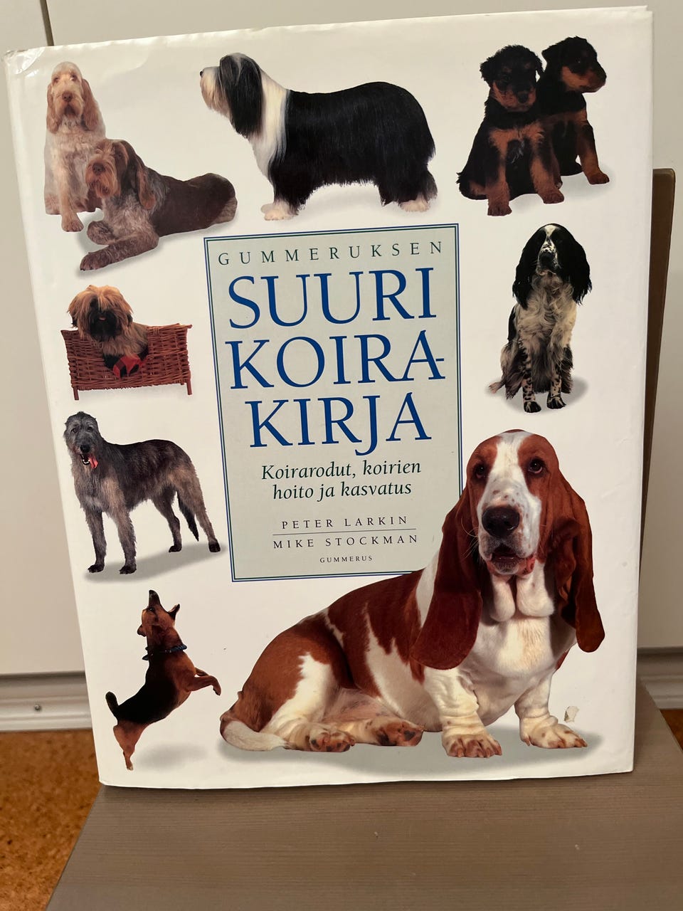 Kuvagalleria