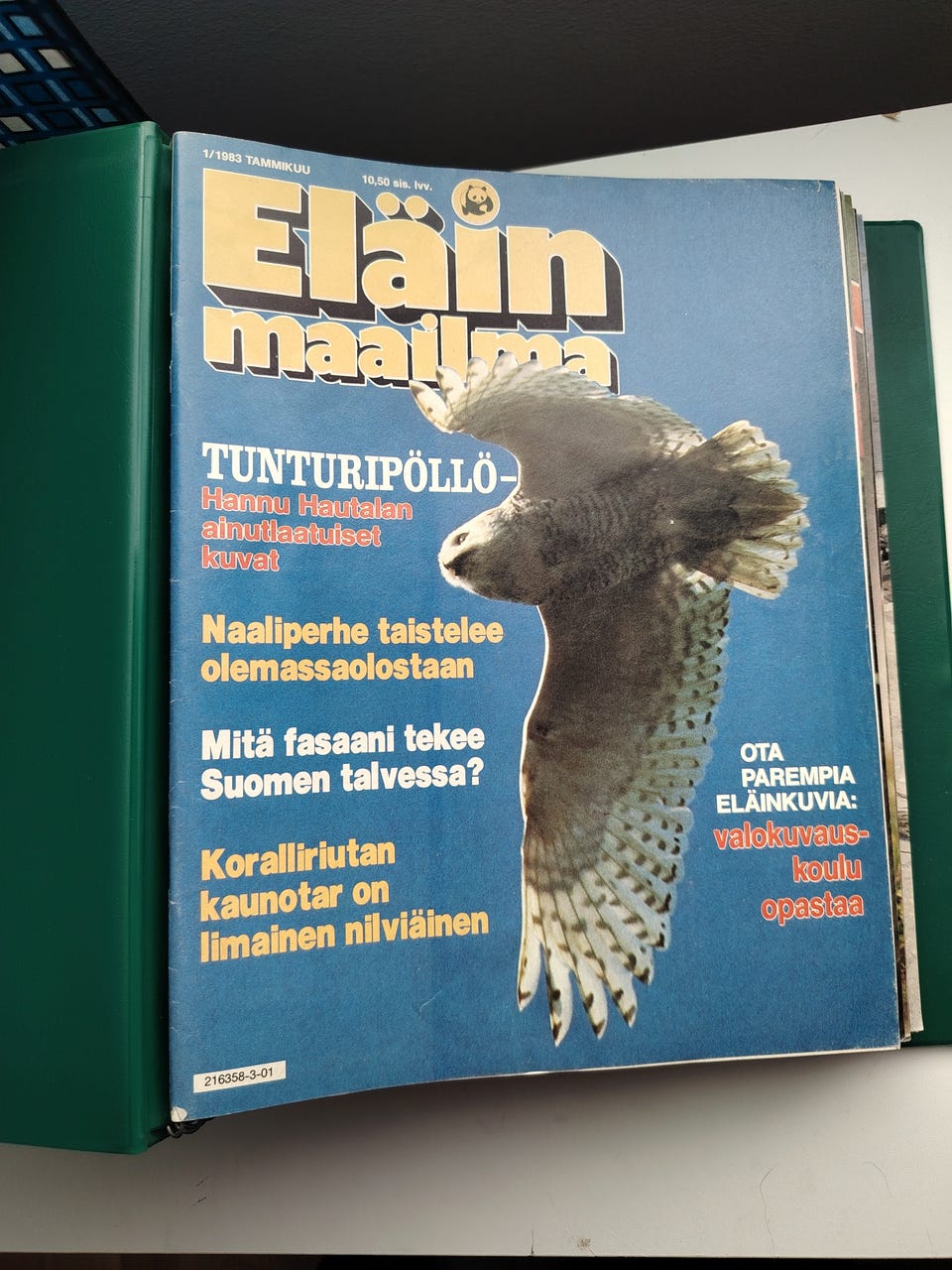 Kuvagalleria