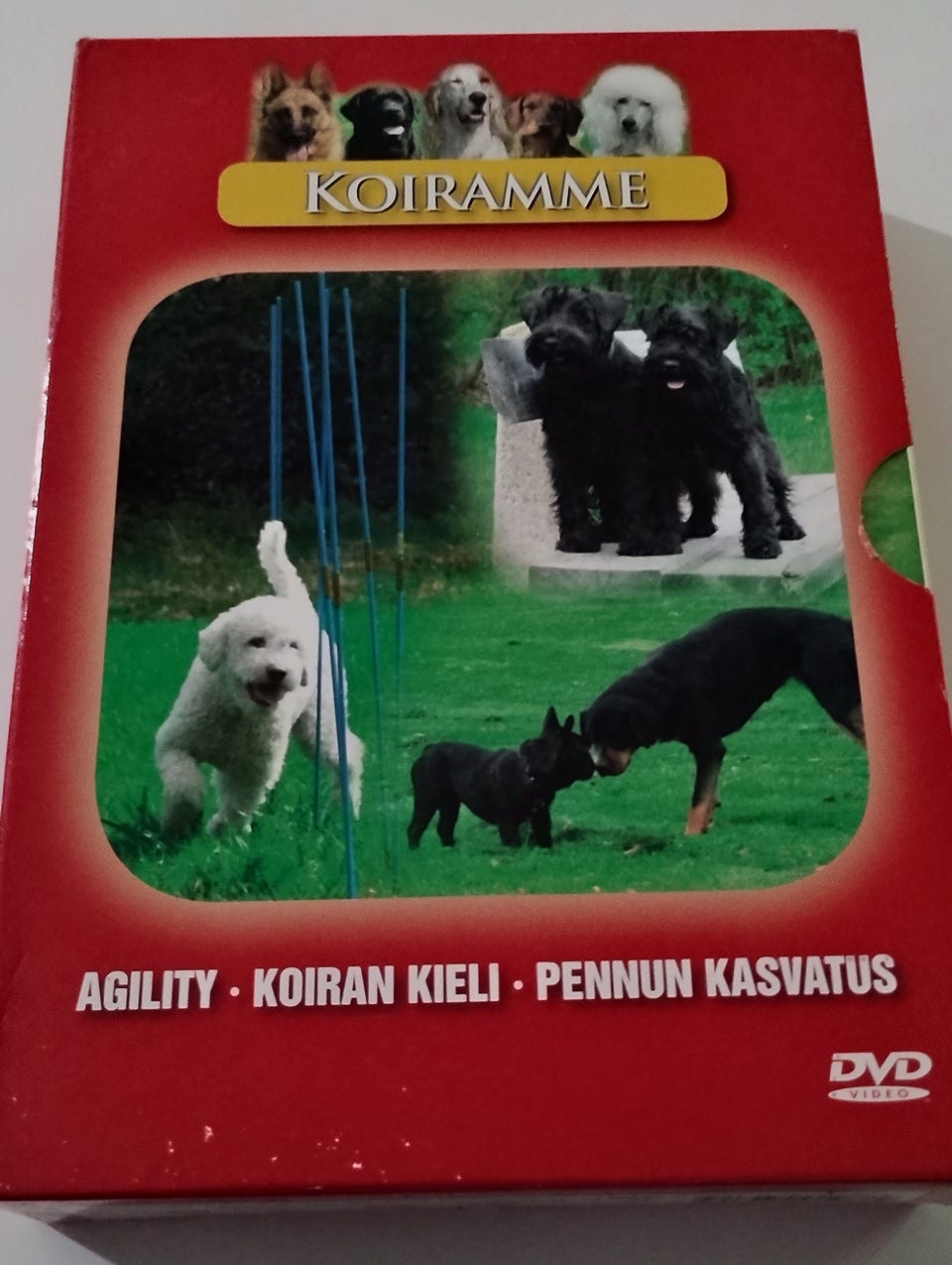 Kuvagalleria