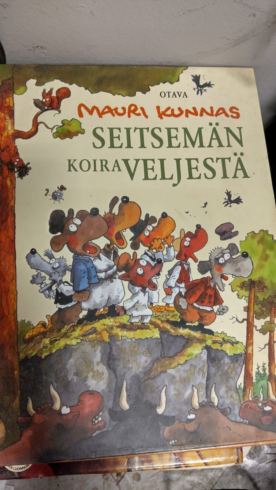 Kuvagalleria