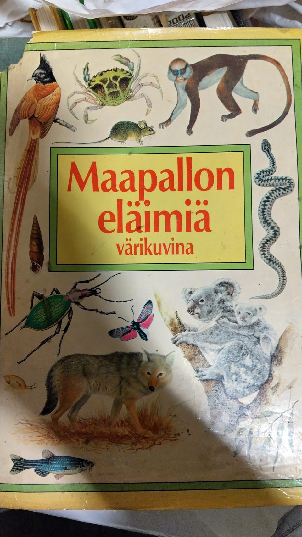 Kuvagalleria