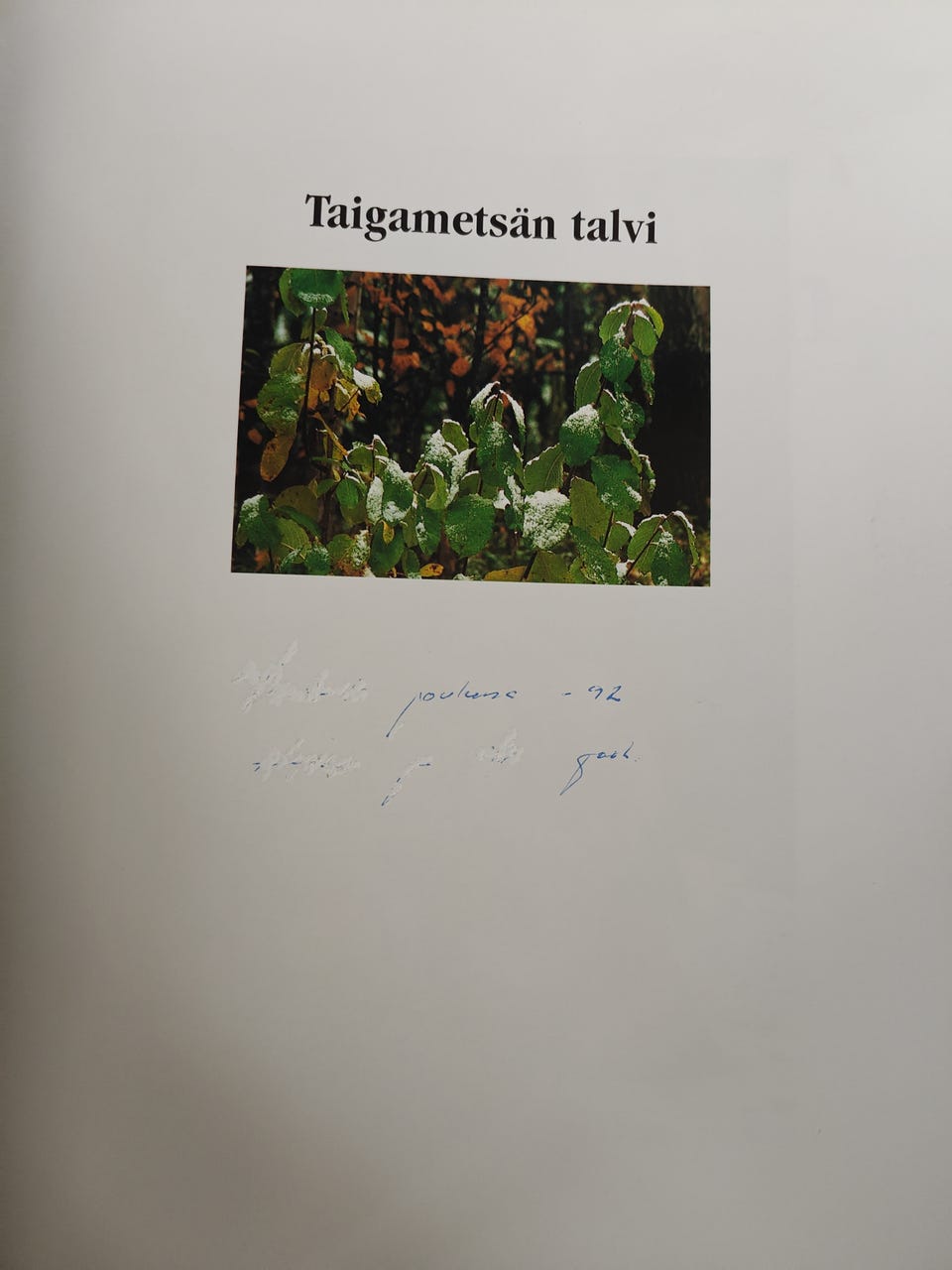 Kuvagalleria