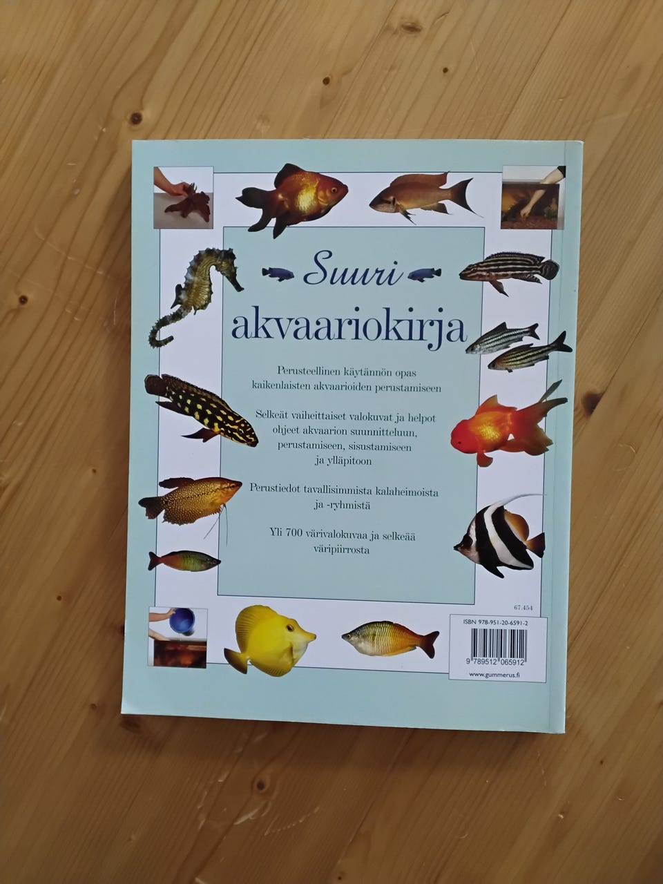 Kuvagalleria