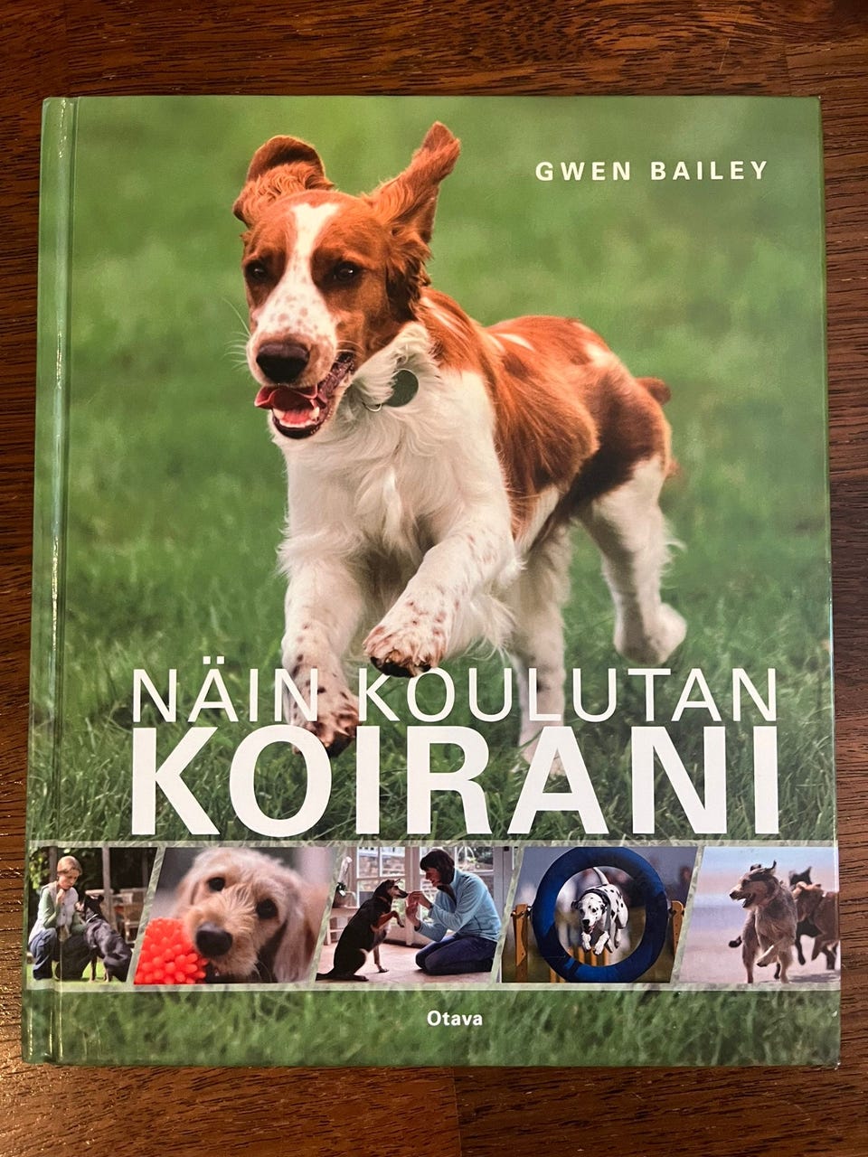 Kuvagalleria