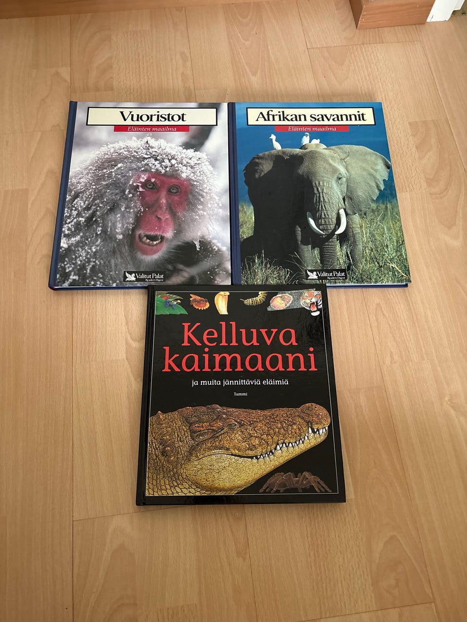 Kuvagalleria